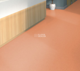 Tarkett iq Melodia 2635 фото 2 | FLOORDEALER